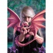 Anne Stokes: Dragonkin 1000db-os puzzle - Clementoni