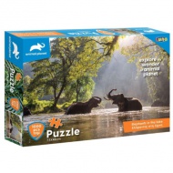 Animal Planet: Elefántok a tóban 1000db-os puzzle