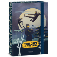 Ars Una Ninjas in the dark gumis füzetbox A/4