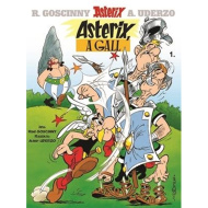 Móra: Asterix 1. - Asterix a gall képregény