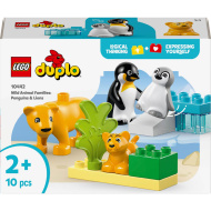 LEGO® DUPLO®: Állatcsaládok a vadvilágban: Pingvinek és oroszlánok (10442)