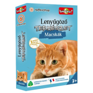 Lenyűgöző természet - Macskák kártyajáték