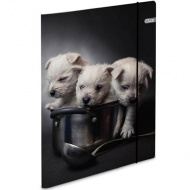 Spirit: Puppies gumis karton mappa A4-es 600g