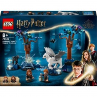 LEGO® Harry Potter™: Tiltott rengeteg - Varázslatos lények (76432)