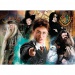 Harry Potter és Roxfort tanárai 500db-os puzzle - Clementoni