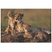 Animal Planet: Gepárd család 1000db-os puzzle