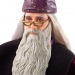 Harry Potter és a Titkok Kamrája: Dumbledore Professzor baba - Mattel