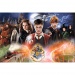 Wizarding World: Titokzatos Harry Potter puzzle 300db-os - Trefl