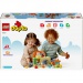 LEGO® DUPLO®: Állatok gondozása a farmon (10416)