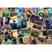 Wizarding World: A Harry Potter film szereplői puzzle 2000db-os - Trefl